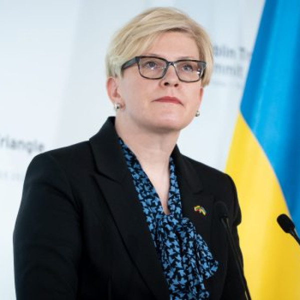 Litvánia: az EU segítsen Kijevnek a hadkötelesek hazatelepítésében