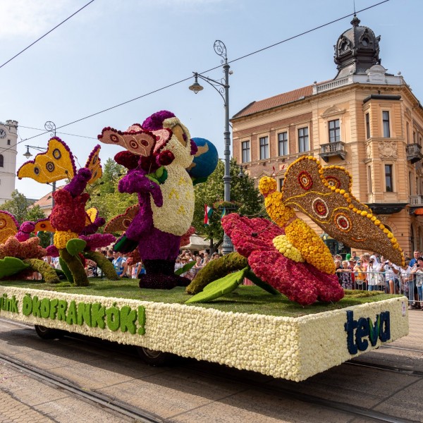 Tízezrek nézték meg Debrecenben a virágkarnevált (Fotók)