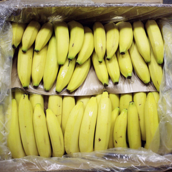 Felnyitották a berlini Lidlben a banánoskartonokat, több mint száz kiló kokaint találtak a fürtök között