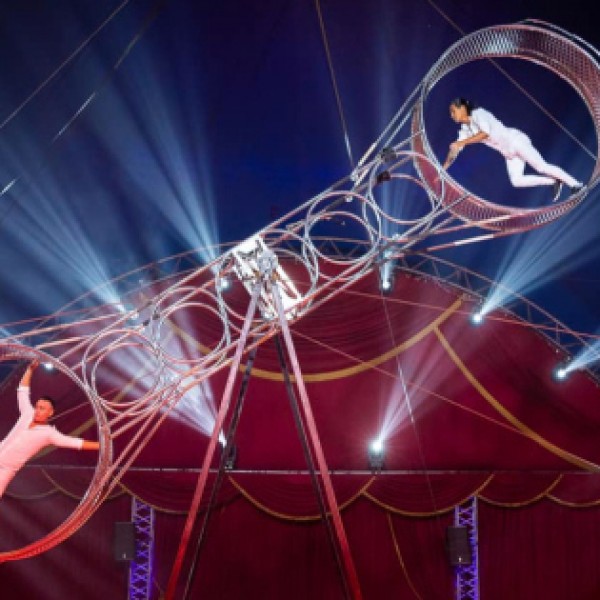 Hét méter magasról zuhant le cirkuszi előadás közben egy artista Hódmezővásárhelyen