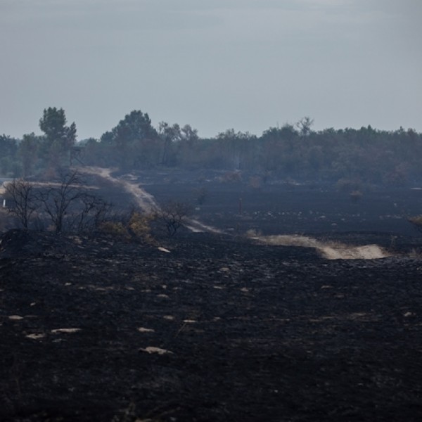 Eloltották a 2800 hektáron pusztító tüzet Táborfalvánál