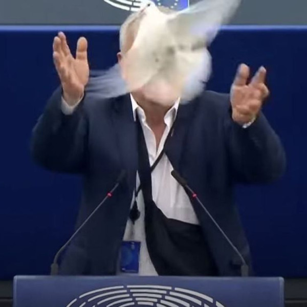 Galambot csempésztek az Európai Parlamentbe, majd kiengedték a táskából