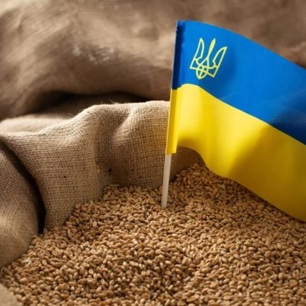 Meghosszabbította az EU a szabad ukrán agrárimportot