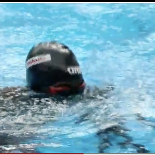 Videó: rajt helyett belepottyant a medencébe az etióp úszó