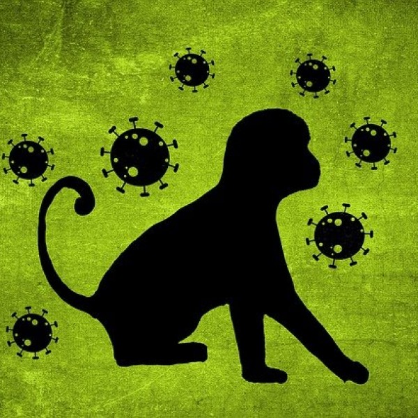 Olaszországban megkezdődött a majomhimlő elleni oltási kampány