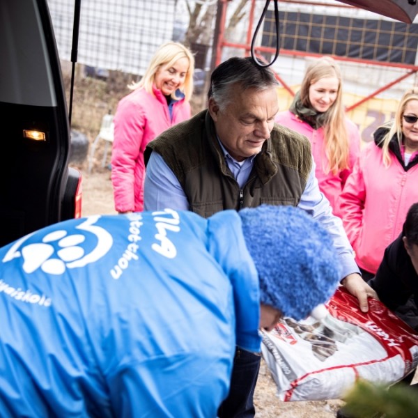 Helló, blökik! - Orbán Viktor látogatása az ürömi állatotthonban