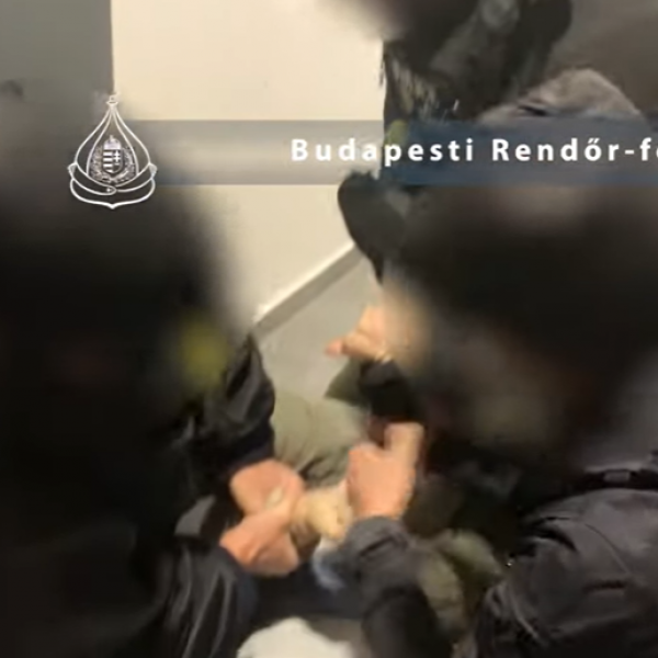 Ötven kilogramm kábítószert foglaltak le a rendőrök egy budapesti garázsban