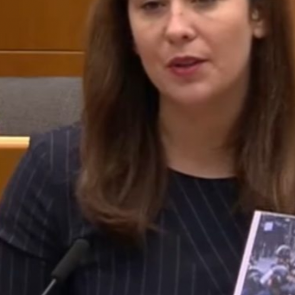 Cseh Katalin már árulkodik is az EP-ben, egy 17 éves diáktüntető képével haknizik