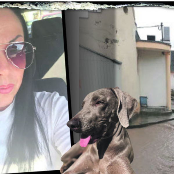 Kutyáját mentette a gyöngyöstarjáni árvíz halálos áldozata