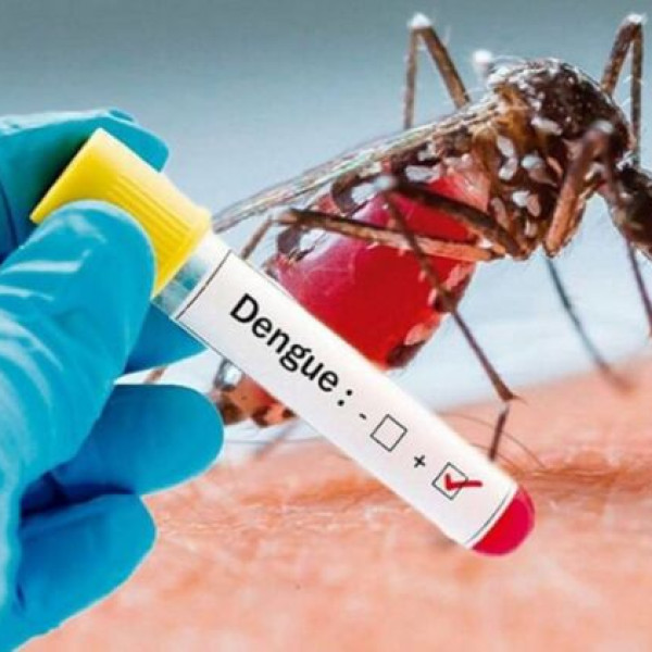 A párizsi olimpia előtt a veszélyes dengue-láz előfordulása tízszeresére nőtt Dél-Franciaországban