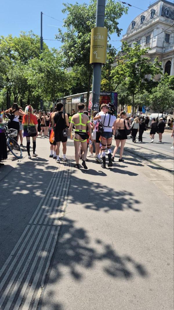 Fotógalériánk a tegnapi bécsi pride-ról