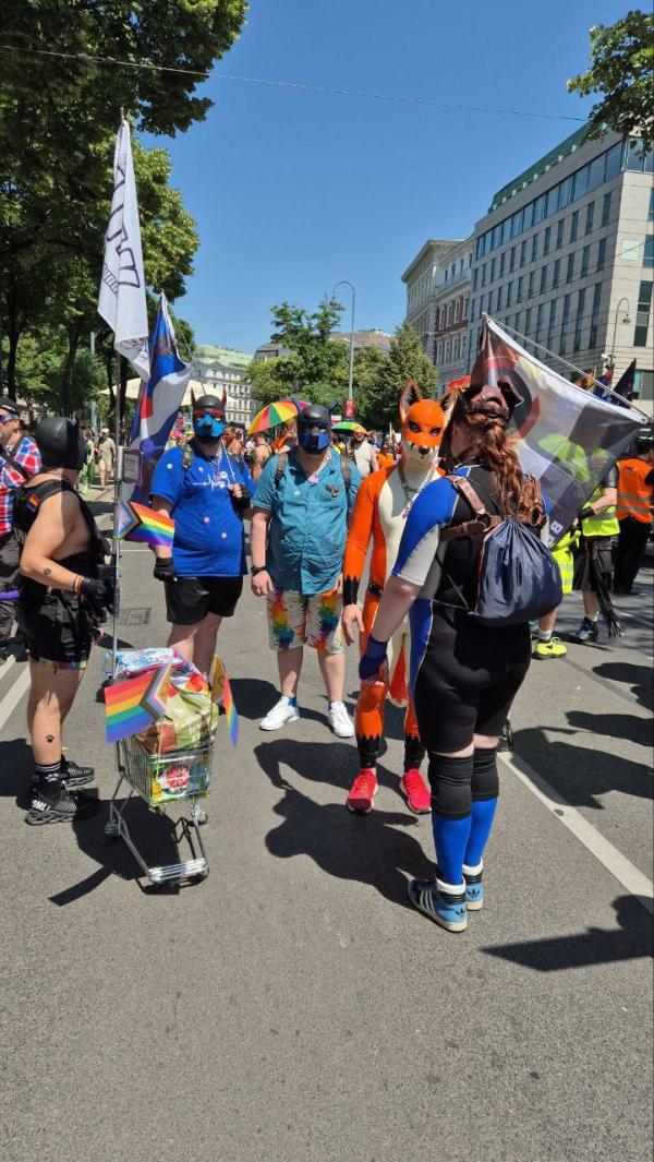 Fotógalériánk a tegnapi bécsi pride-ról