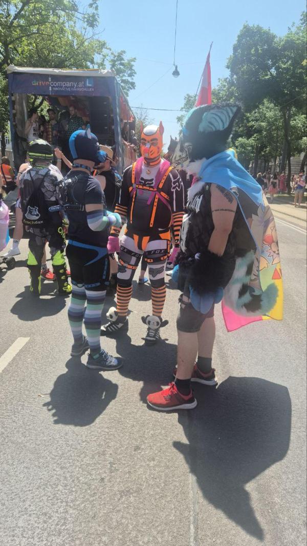 Fotógalériánk a tegnapi bécsi pride-ról