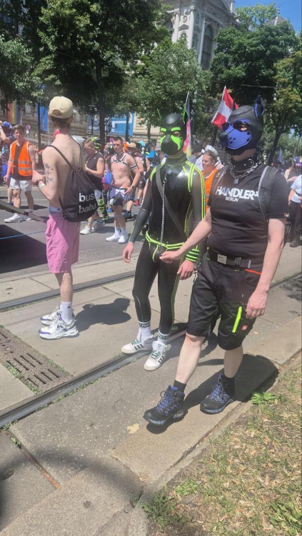 Fotógalériánk a tegnapi bécsi pride-ról