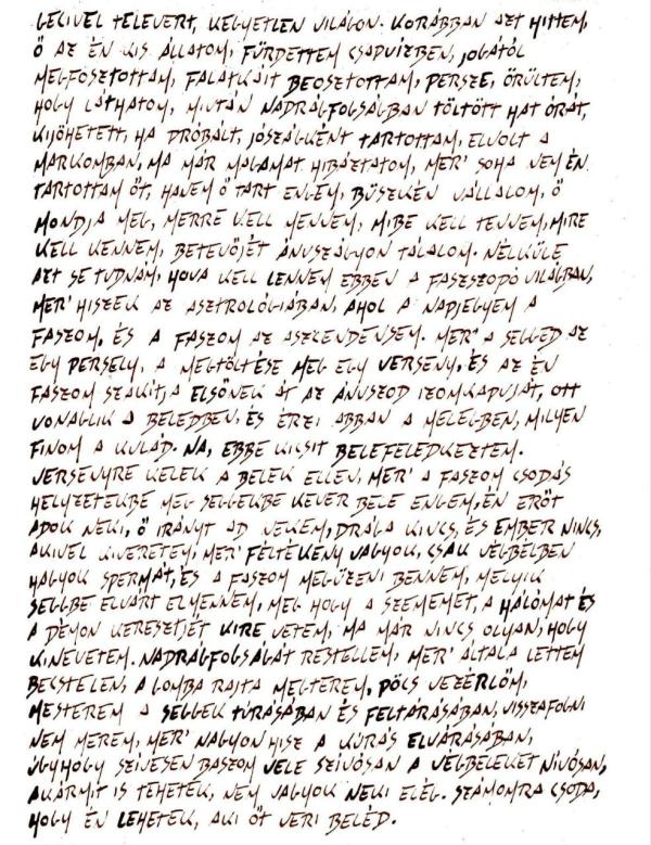 Ezek tényleg beteg állatok: emberi vérrel írt aberrált könyvet a tiszás megmondóember