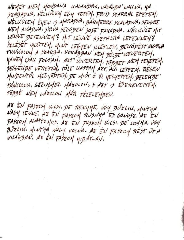 Ezek tényleg beteg állatok: emberi vérrel írt aberrált könyvet a tiszás megmondóember